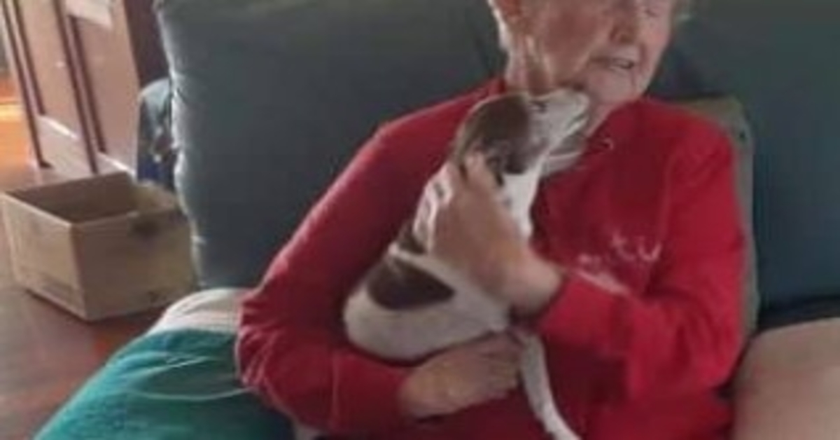 85-åriga kvinnans hund går bort, men ingen kommer att låta henne adoptera en ny hund