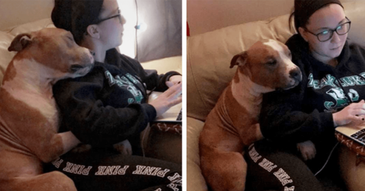 En kvinna adopterade en Pit Bull och deras första foto tog över Internet