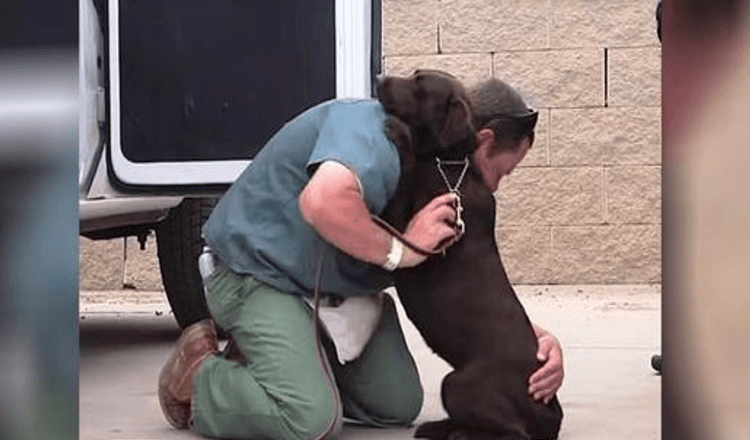 Hunden togs för att avlivas, men en fånge gav henne en hårt kram