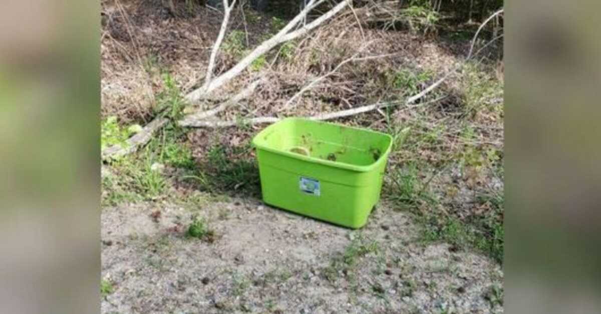 Människor hittar det sorgligaste i den här lådan på en 90-gradersdag