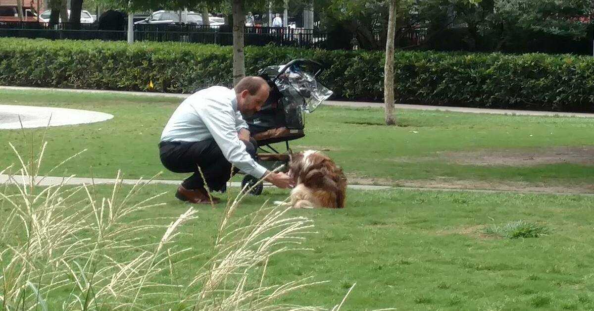 Ägaren tar sin blinda hund ur vagnen, trodde att ingen tittade på honom när han böjer sig ner