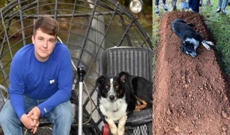 Sorgande hund lagt vid graven till hans 22-åriga ägare som dödades